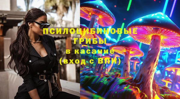 тгк Абинск