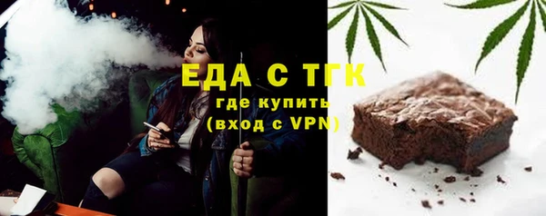 прущие грибы Гатчина