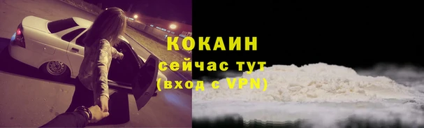 тгк Абинск