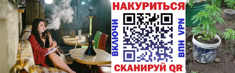 Бошки марихуана ГИДРОПОН  Краснозаводск 